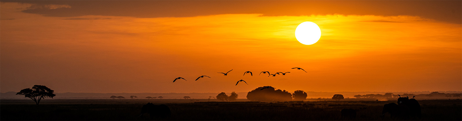 Afrika online buchen Reise buchen